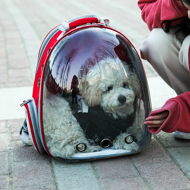 New Transparent Expandable Cat Backpack Breathable Outdoor Pet Bag Portable Small Dog  Cat Travel  Transport Bag