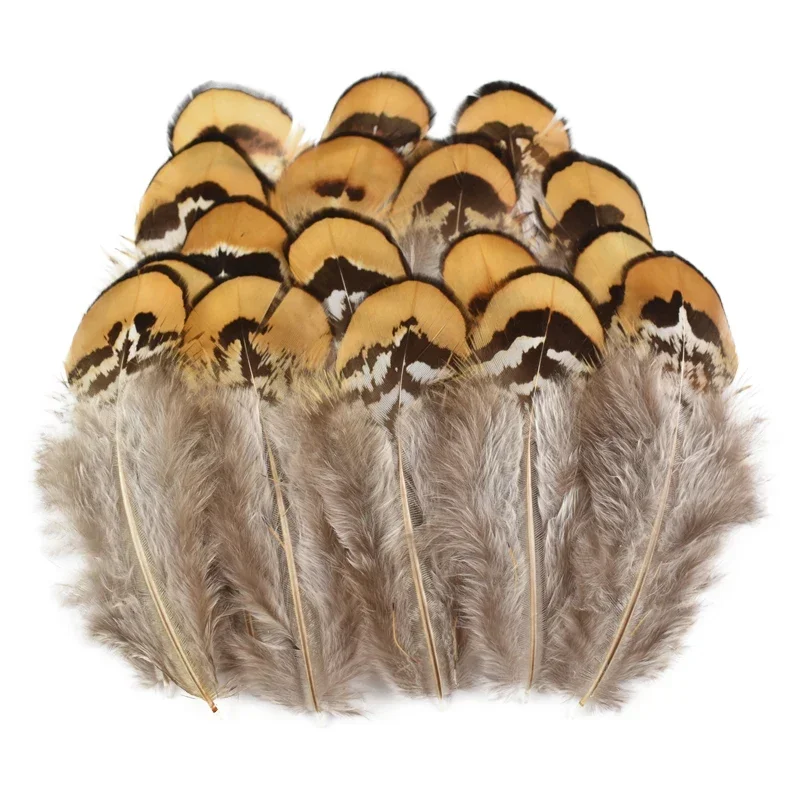 ريش الدراج الطبيعي الطاووس الصغير أوزة غينيا الطيور ريشة الدجاج حلم الماسك ديكور Diy بها بنفسك مجوهرات الحرف اليدوية الديكور #3