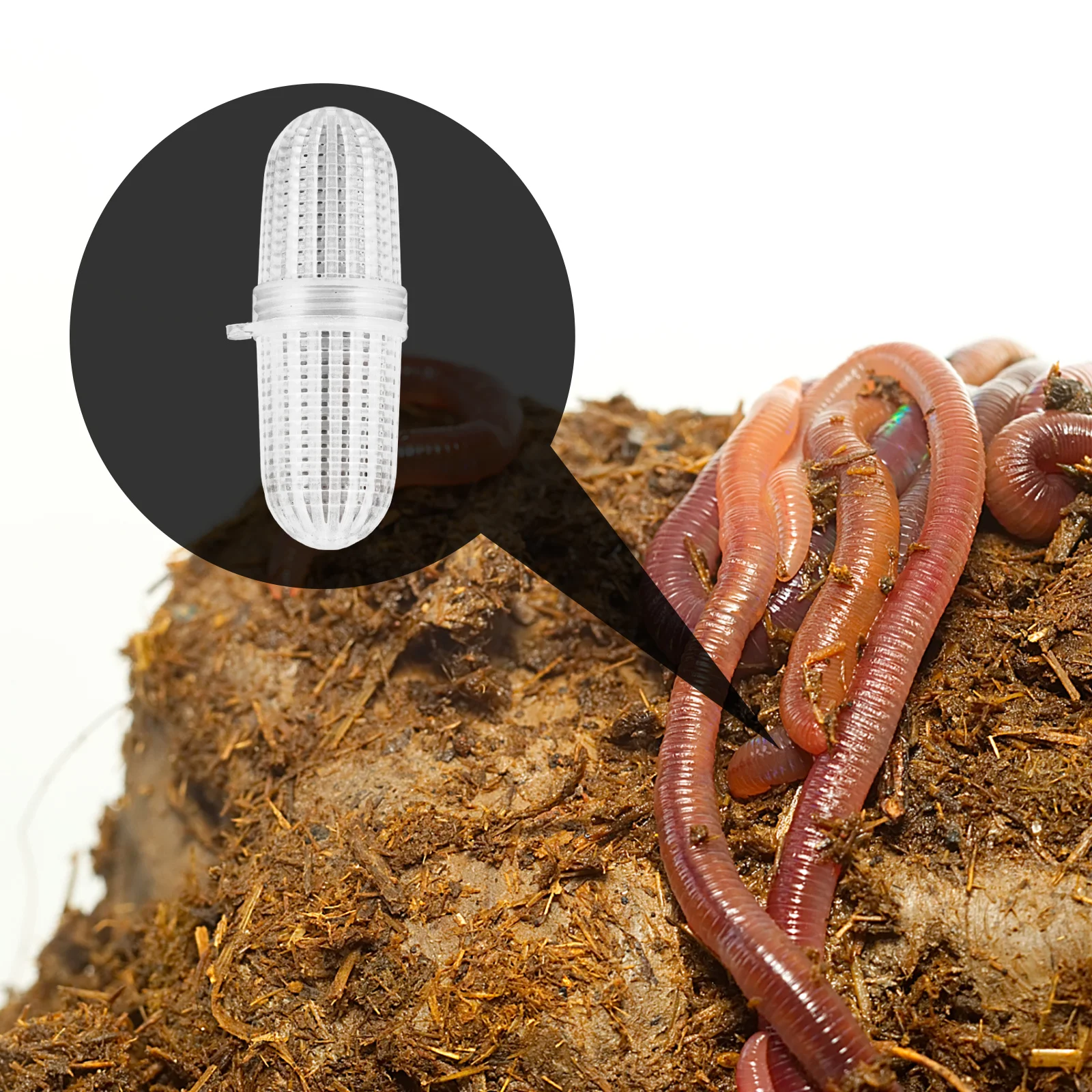 

10Pcs Plastic Earthworms Box Multi-Function Rainworm Container for Home Gardening and Agriculture Projects Household Use