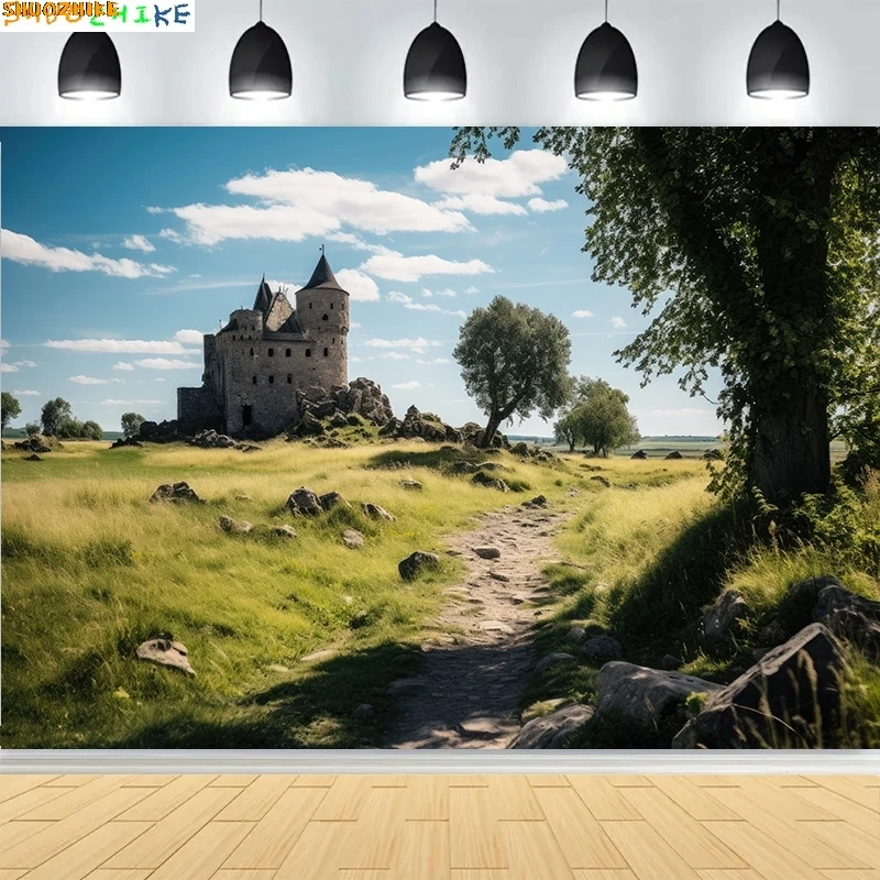 جميلة القلعة العمارة الدرج خلفيات للتصوير الفوتوغرافي القرون الوسطى الخيال المدخل كاتدرائية صورة خلفية CT-01 #3
