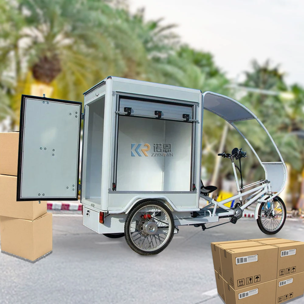 New Arrival Adult Electric Tricycles with Big Box Mobile Cargo Tricycle Car 3 Wheels Vehicle Bike Bicycle Luggage Carts for Sale