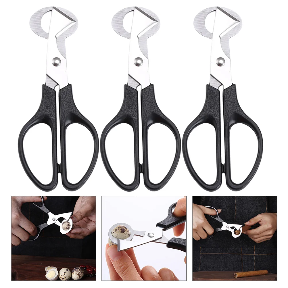 3 Pcs Quail Egg Scissors Kitchen Supplies Shear Eggs Stainless Steel Opener Straight Hair Eggshell