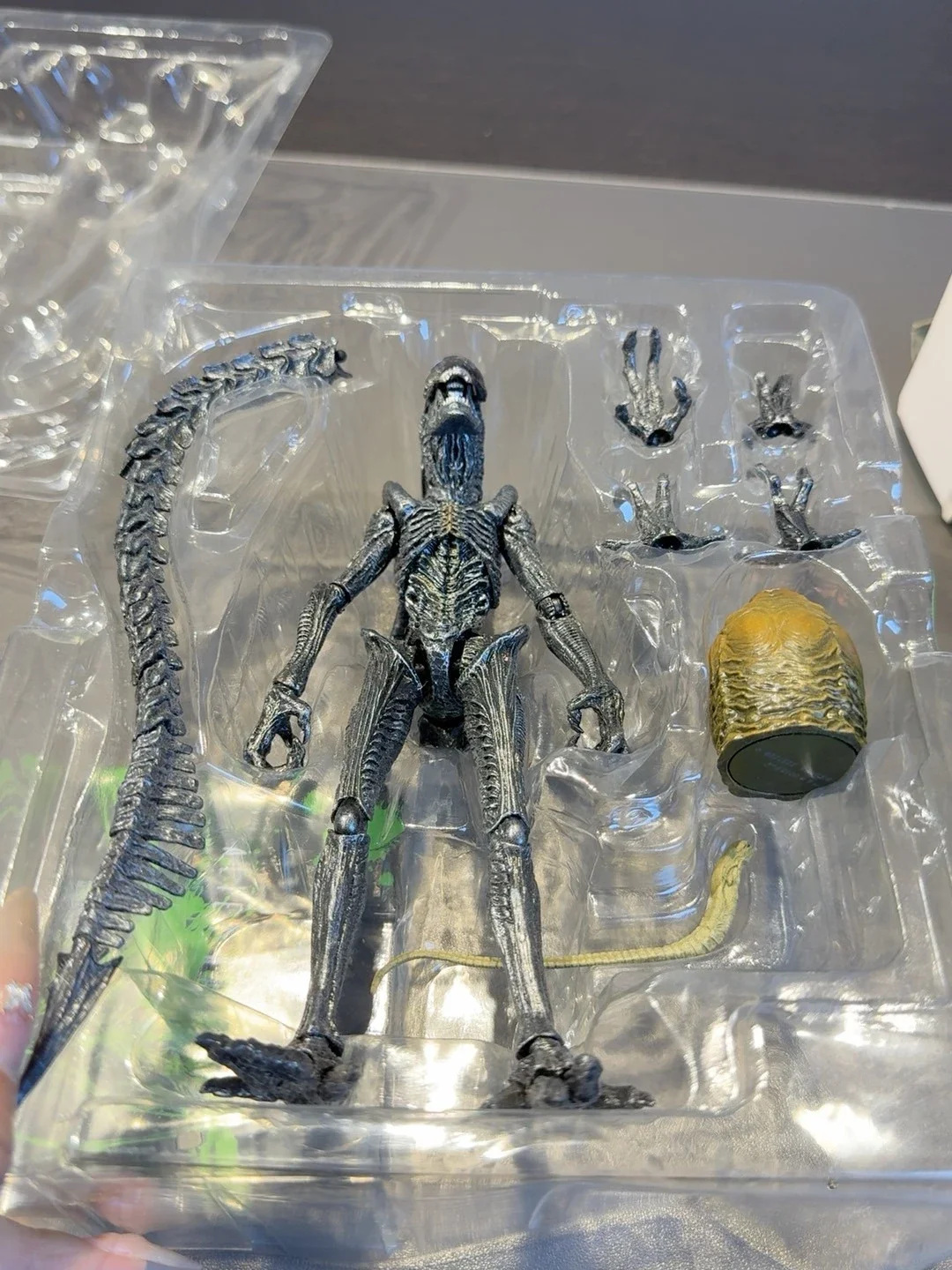 شخصية بانداي SHM Alien VS Predator 2 ALIEN Warrior.