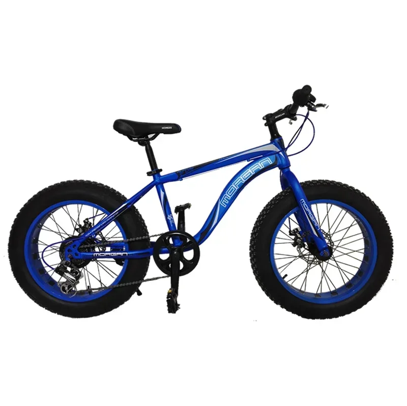 Low Rider Mini 24 26 29 Inch in Fat Tire Inch Frame Snow Mountain Bike Bicycle Fatbike