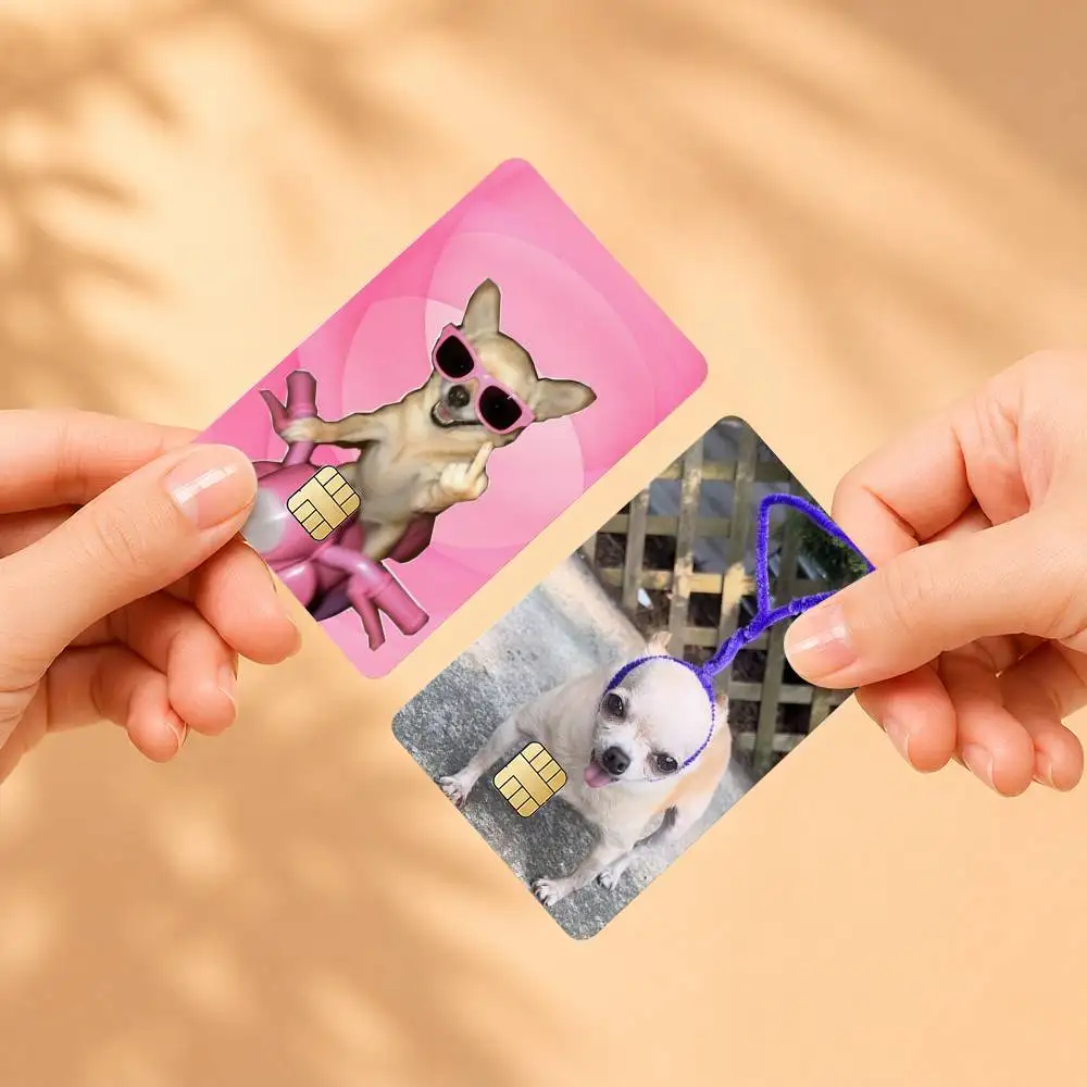 C-Chihuahua Funny Memes Sticker Film Tape Skin for Credit Card Debit Card Waterproof Stickers