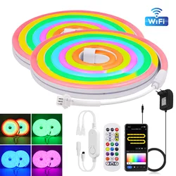 10M 20M RGBIC Neon LED Strip Lights 12V 24V Smart WIFI 84LEDs/M with Music Sync Dreamcolor Chasing Rope Tape Lamp