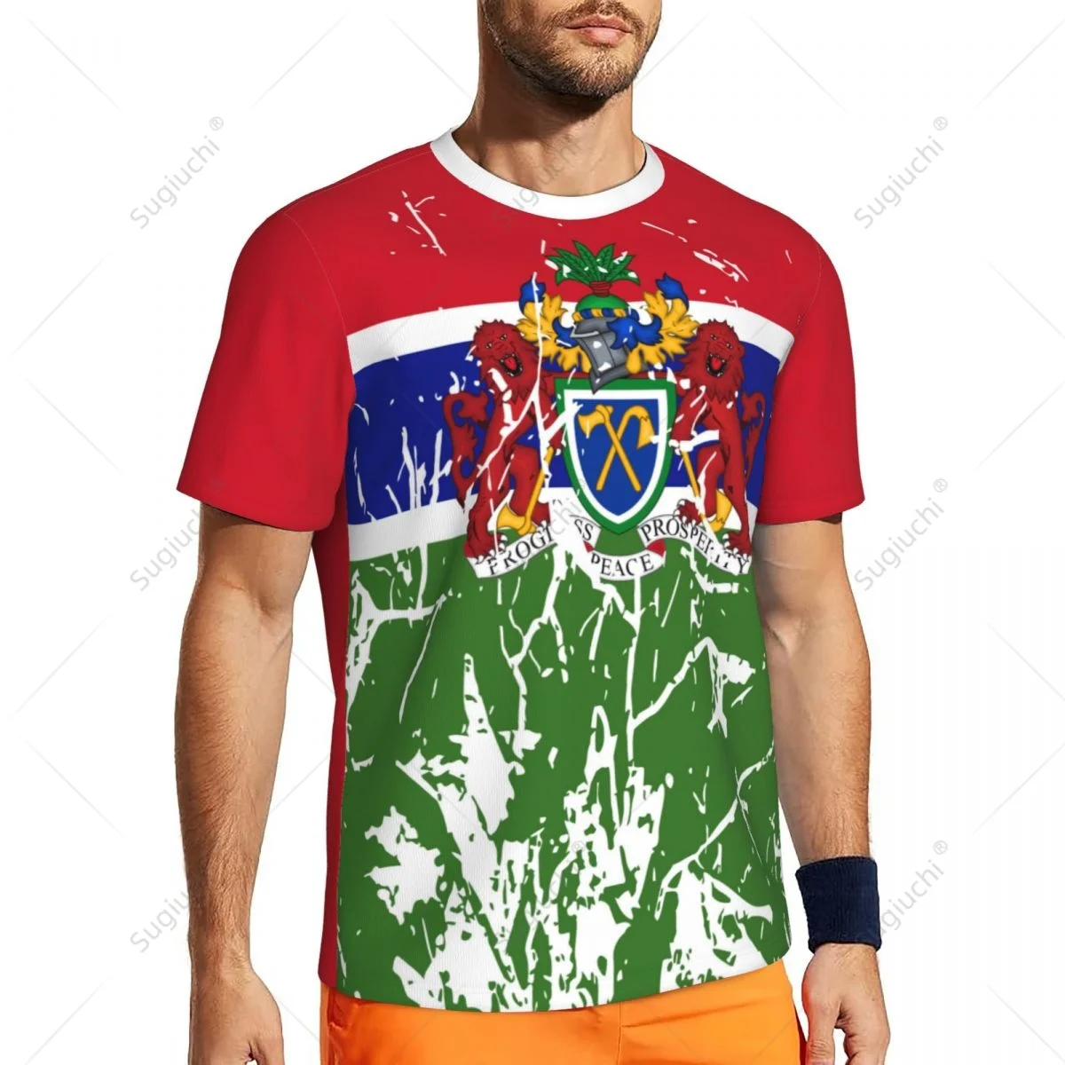 Exclusive design Gambia Flag Grain 3D Printed Men For Running Bike Soccer Tennis Fitness Sports tshirt Mesh Fans Short T-shirt