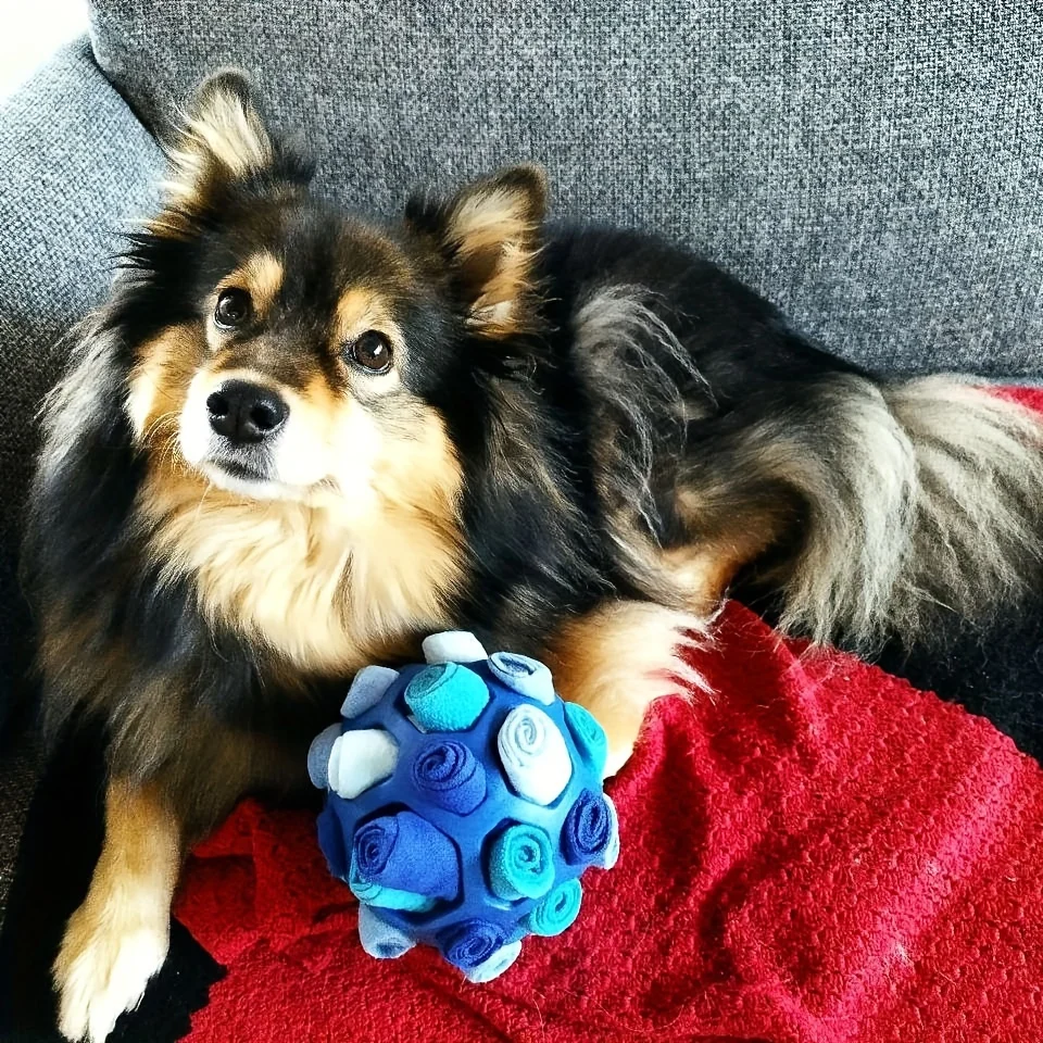 1 Stück Interaktives Hundespielzeug - Schnüffelball zum Verstecken von Leckereien - Gummi-Puzzleball für Geistige Stimulation Haustierzubehör – Detail 7