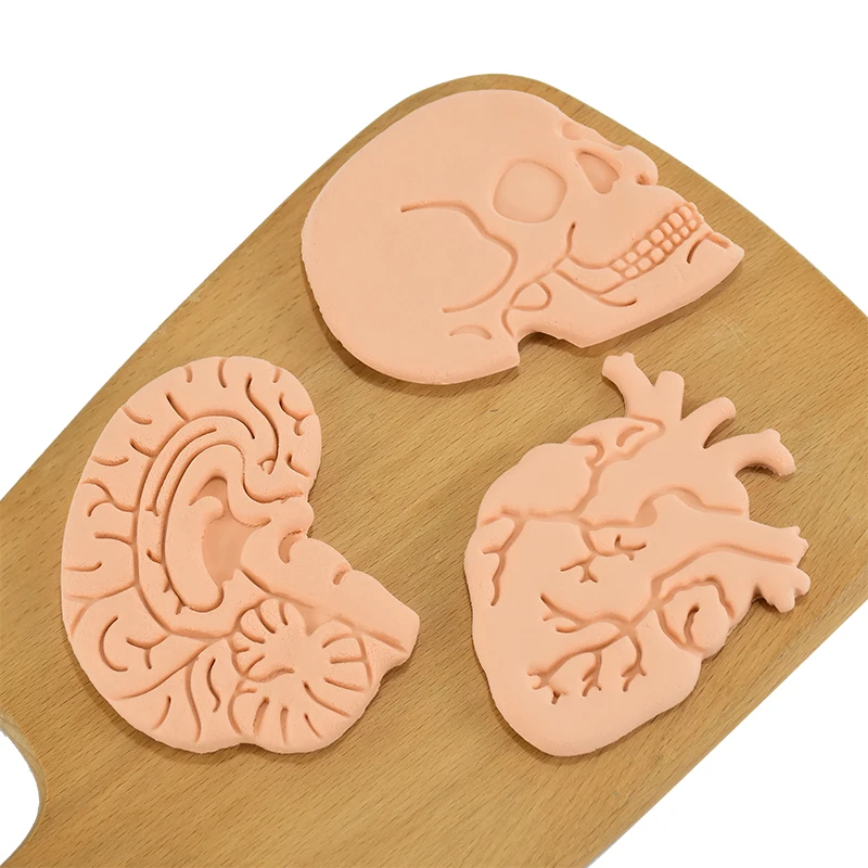 1/3pcs Human Organs Fondant Icing Biscuit Mold Human Skeleton Heart Brain Shape Cake Decor Accessory Kitchen Baking Pastry Tools