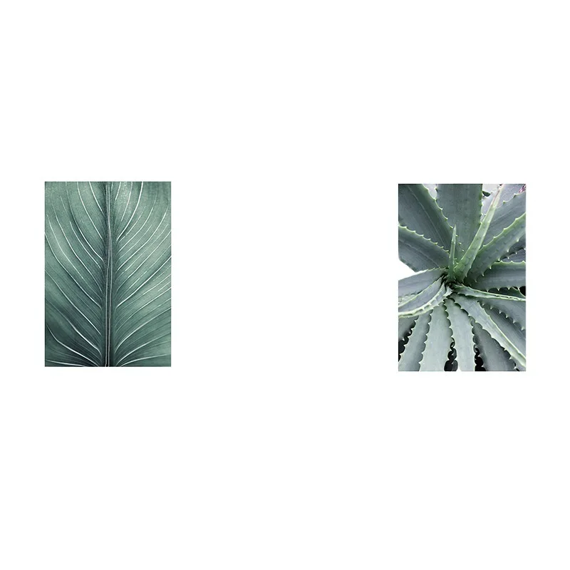 

Nordic style decorative paintings, modern simple wall paintings, sofa background wall green plants