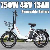 NEW Electric Bicycle BAOLUJIE 2030 800W 48V 13AH Removable Battery Dual Disc Brake 7-Speed Foldable Adult camping 20 inch ebikes