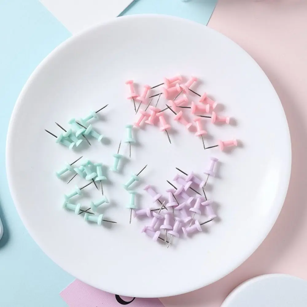 Boxed Macaron Color Pushpin Thumbtac Plastic Small Fresh Board Push Pin Fixing Pin Thumb Tacks Office