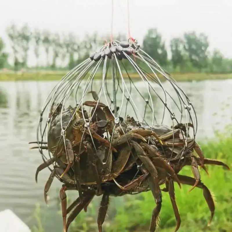 Thumbnail 3 - #44 Latest Fishing Traps Offers