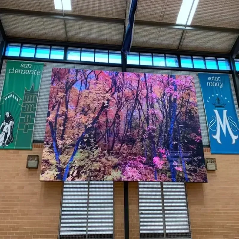 P2 P2.5 P3 P4 P5 Universal Rental LED Screen Module Full Color Splicable Display For Multi Scene Advertising