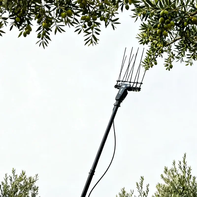 Energy-Saving Electric Portable Olive Harvest Machine Fast and Precise Fruit Collection High-Efficiency Olive Picking Machine