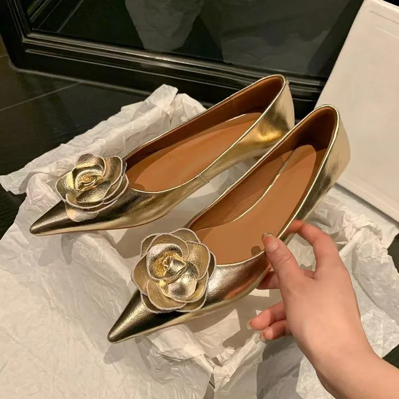 

2026 Women's Summer New Low Heel Pointed Champagne High Heels Fashionable and Versatile Sandals