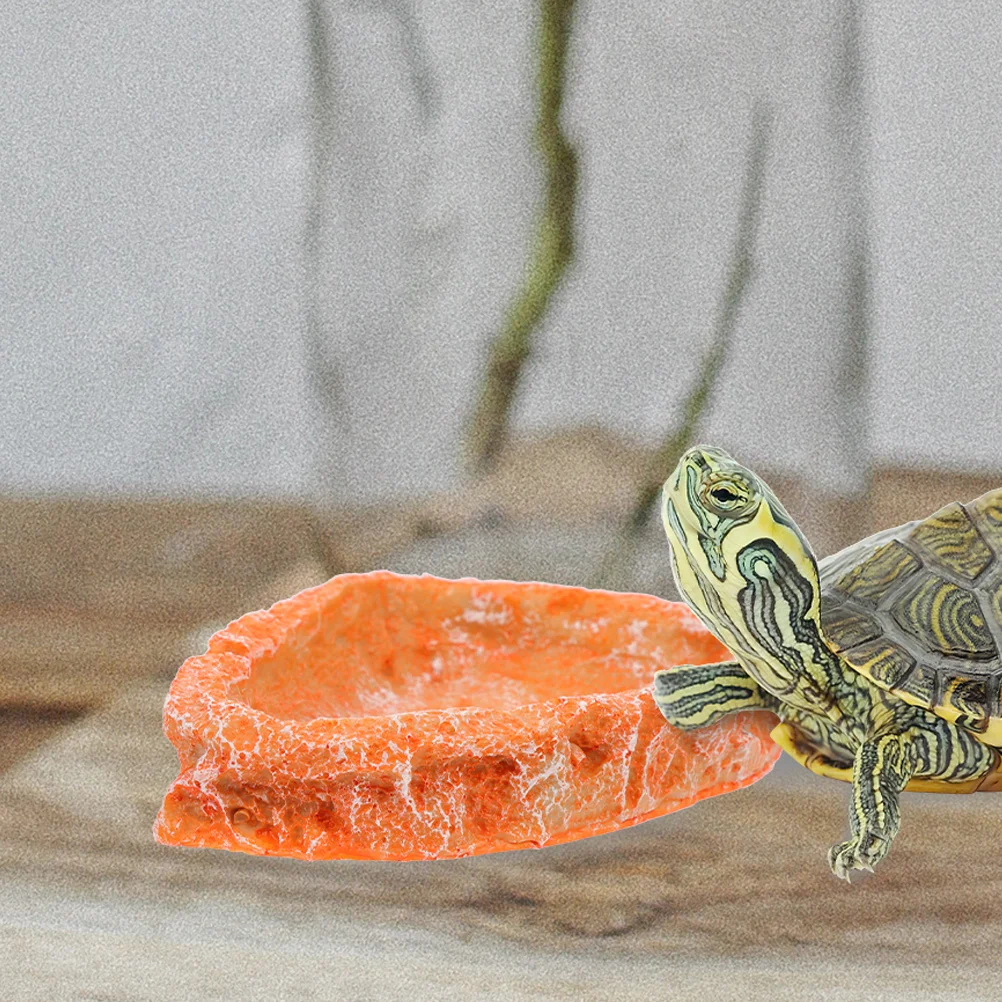 

2 Pcs Lizard Water Feeder Turtle Habitat Accessories Reptile Food Container Dish
