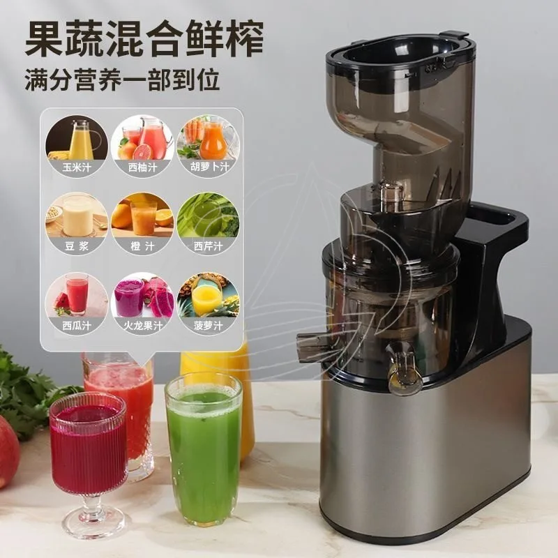 Slow Masticating Juicer Large Feed Chute, Home & Commercial Use Automatic Pulp Separating Fruit Juice Extractor
