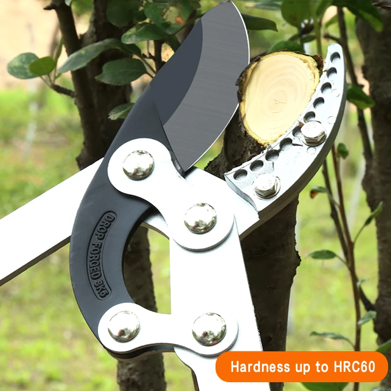 Thumbnail 3 - #63 Pruning Shears Sale