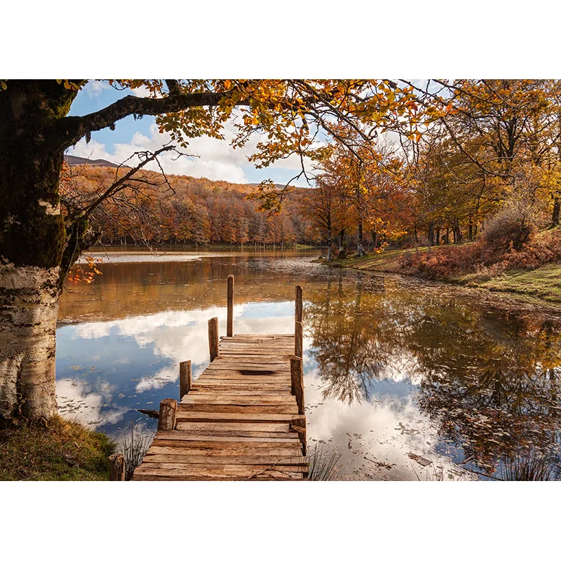 Fondo de fotografía con paisaje Natural, telón de fondo con diseño de bosque, río, viaje, accesorios de estudio, 21929 BNM-02