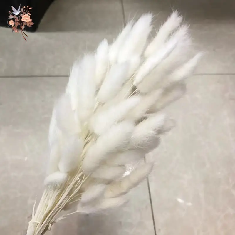 120 Uds. De colas de conejo blancas naturales, decoración de hierba, pompas, flores secas florales, hierba de Pampas para decoración de jarrón de mesa de boda bohemio para el hogar