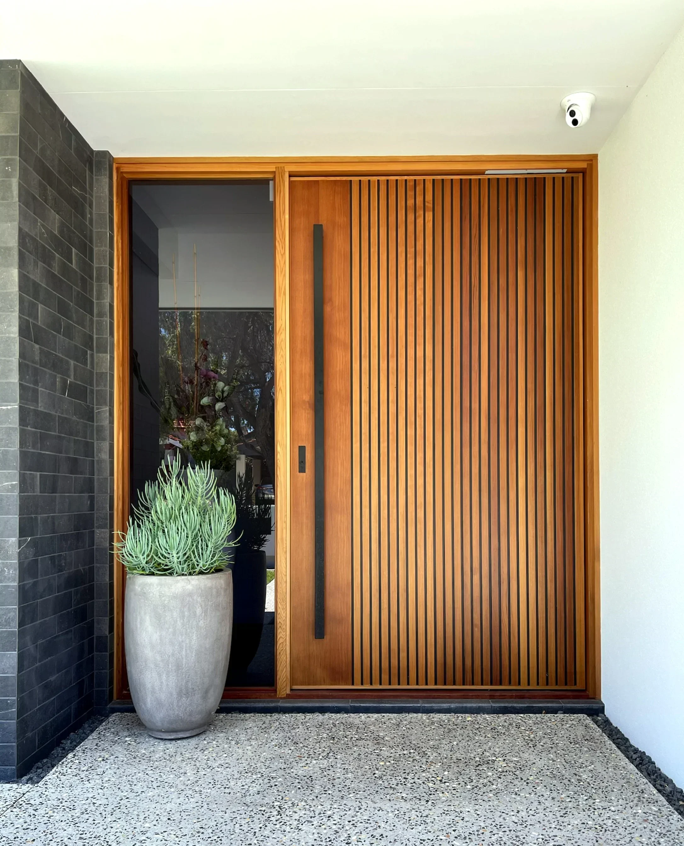 Interior Design Organic Modern - 현대적인 디자인의 보안 출입구 피벗 도어,