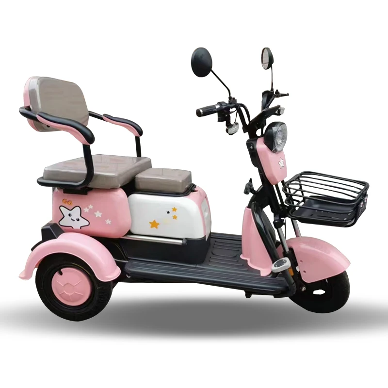 Family Use 600W Electric Scooter 14inch 3-Wheel Tricycle with Roof Electronic Digital 50KM/H 3-Speed