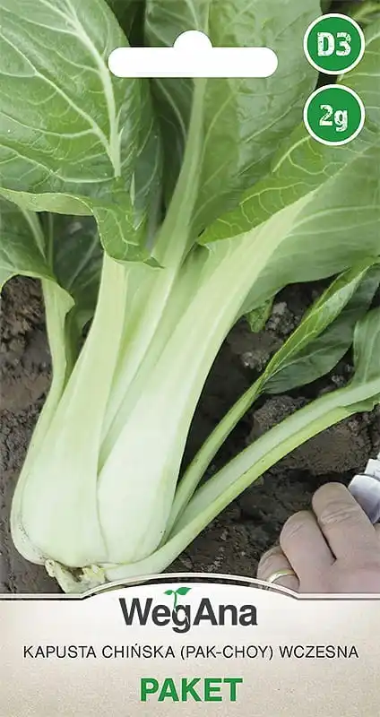 Chino Pak Choy Paket Repollo 2G VegAna Semillas de repollo vegetal