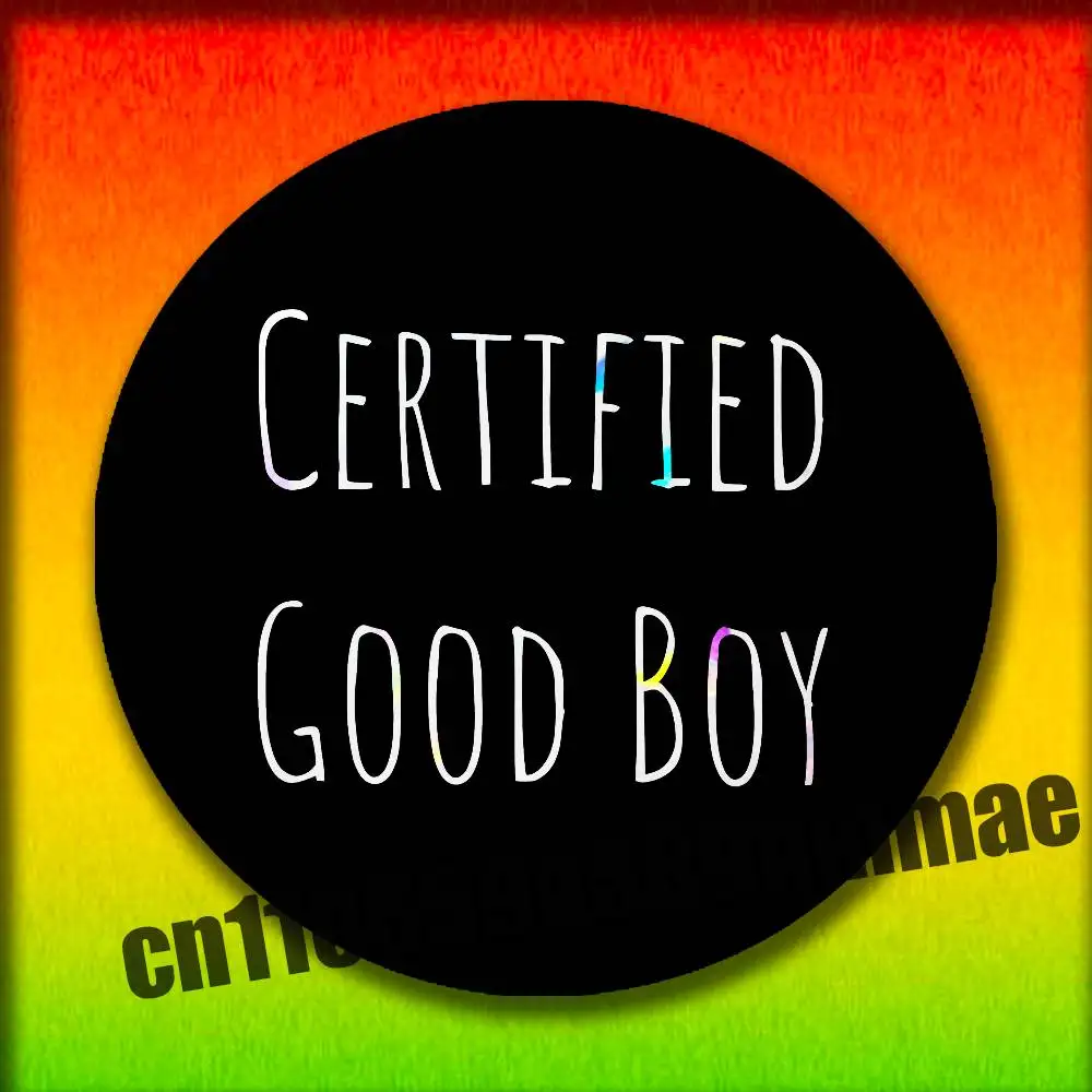 

For Certified Good Boy Emblem Round Pins Insignia Badge Cover Brooch Button Hats Decoration 32mm