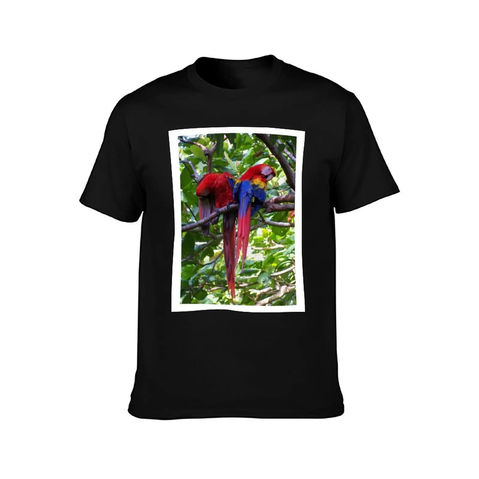 Scarlet Macaws T-Shirt Summer Casual Cotton Tee Oversized Streetwear Tops Vintage Graphic Print Loose Fit Short Sleeve