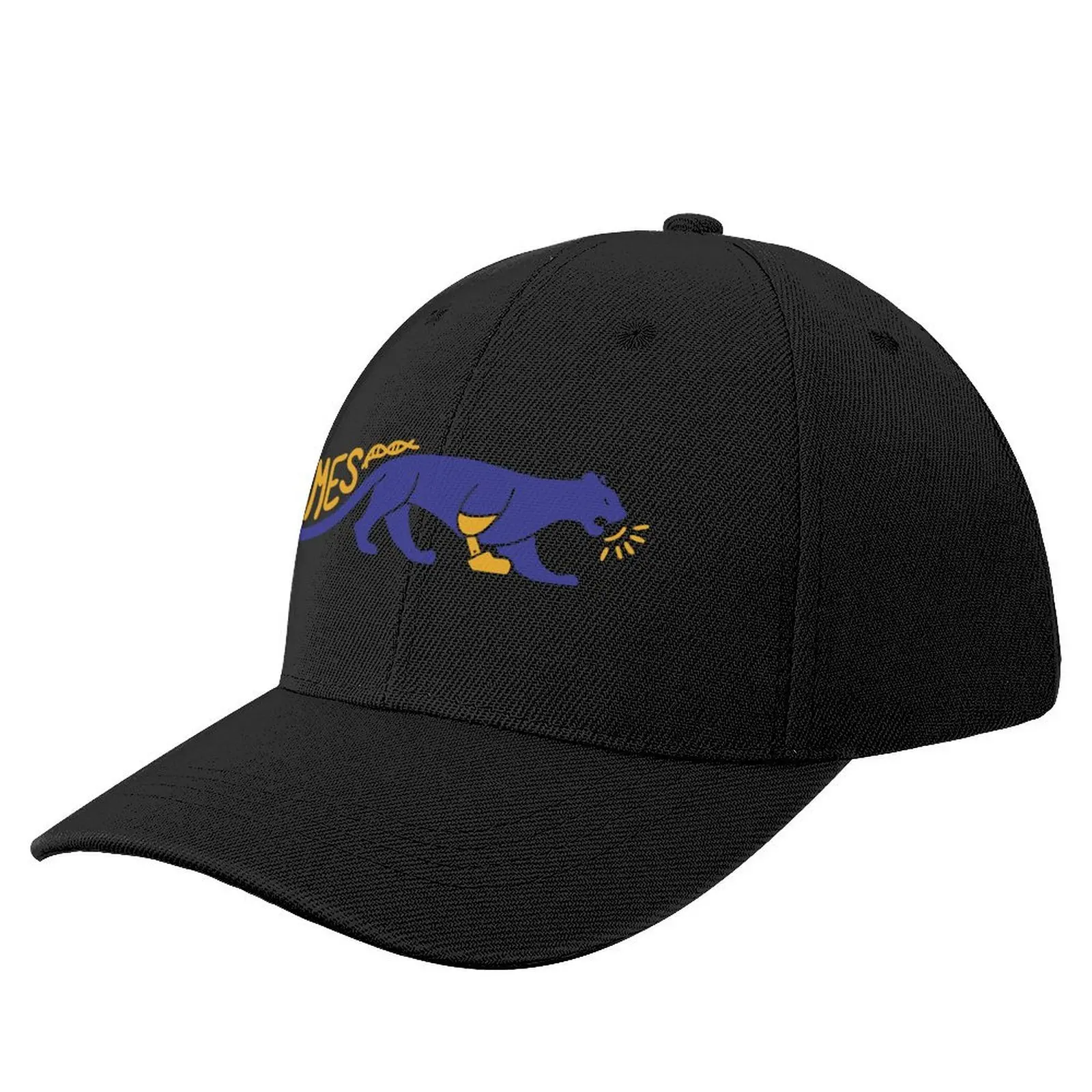 BMES Panther Baseball Cap Luxury Brand Custom Cap Sunhat Women Hats Men's