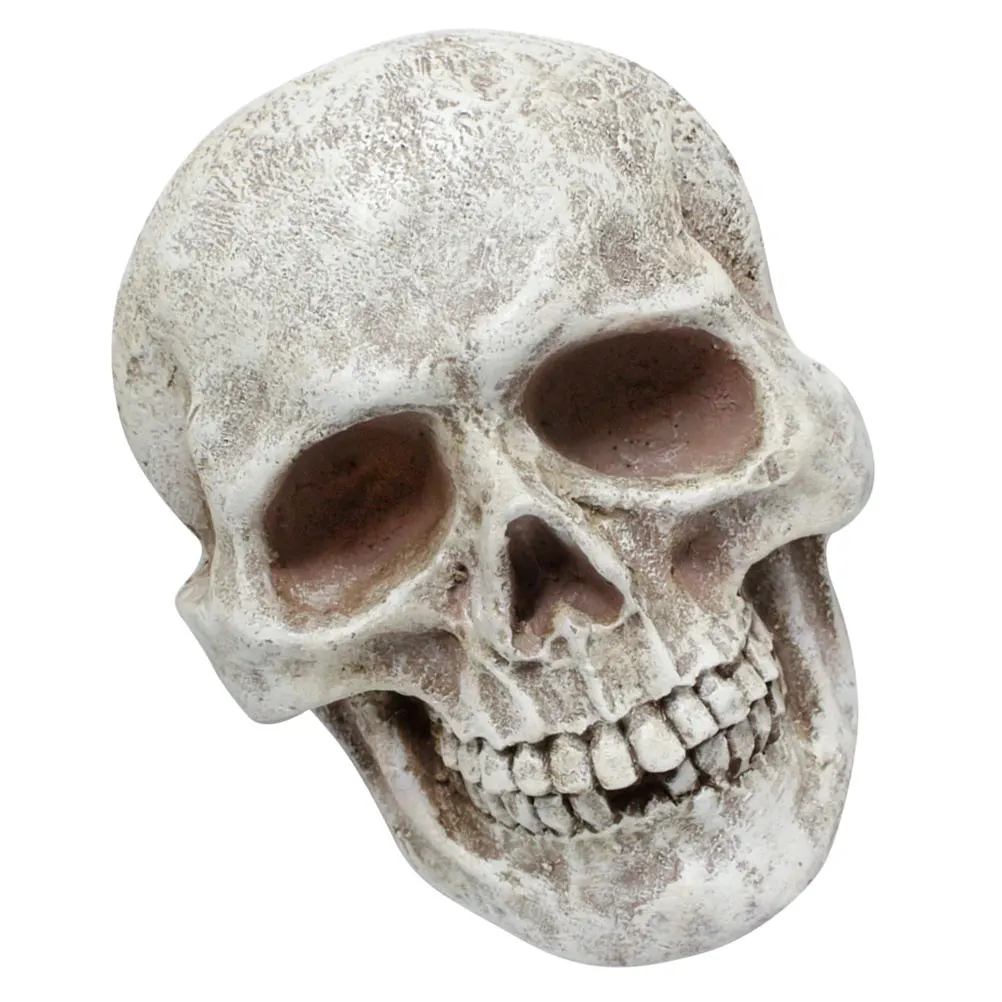 

Resin Skull Head Motorcycle Decor Piece Home Ornament Halloween Figurine Statue Mini Model Display Item