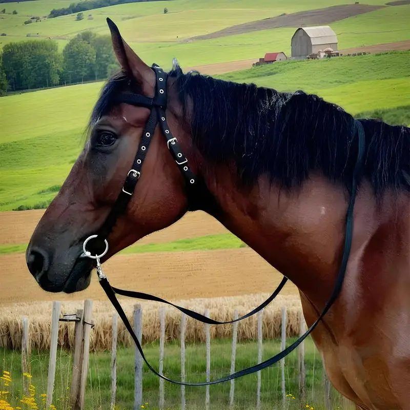 Halter de caballo con hebilla, pestillo de garganta para puente de caballo con 3 hebillas, cabestros de entrenamiento ecuestre chapados engrosados para ecuestre