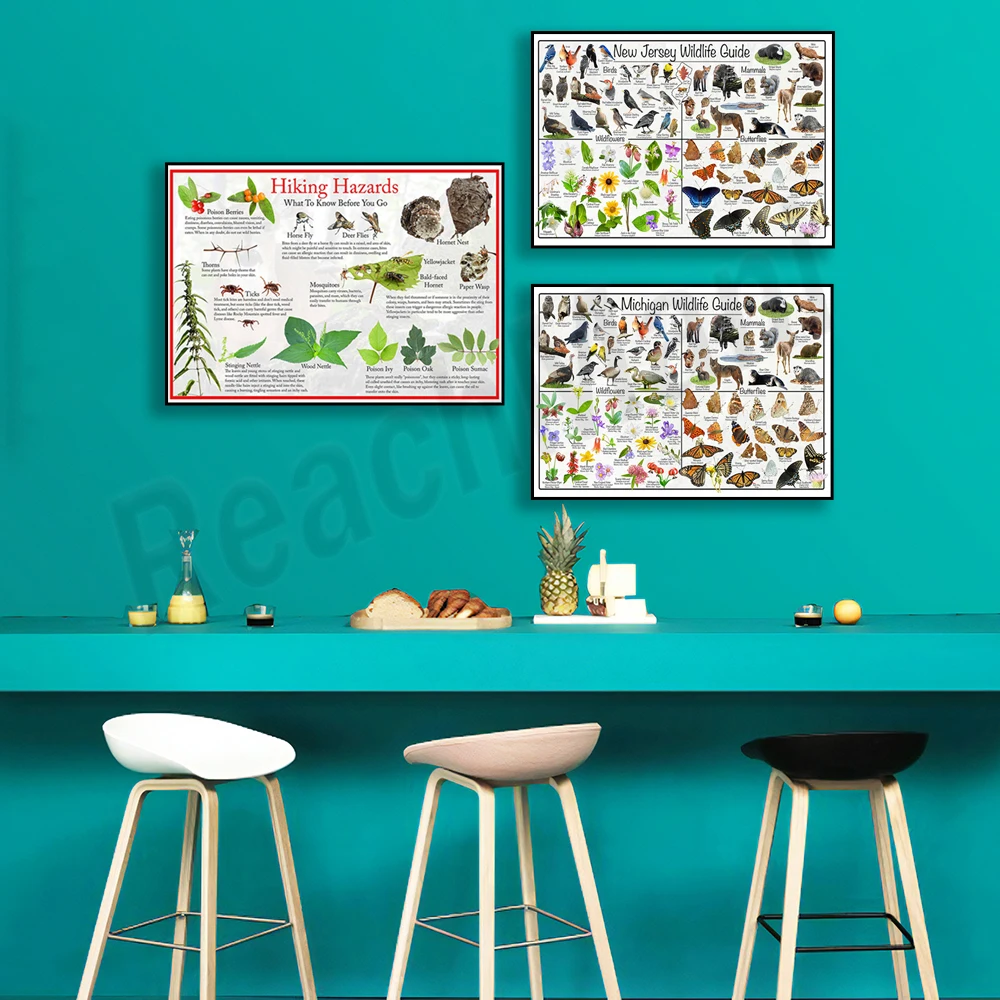 Michigan wildlife guide poster, Idaho birds, mammals, wildflowers and butterflies, hiking dangers educational nature poster