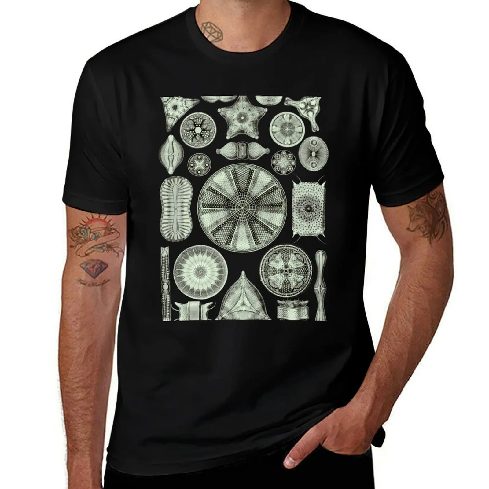 Ernst Haeckel Diatoms Olive Green T-Shirt Casual Light Summer Short Sleeve Top T-Shirt