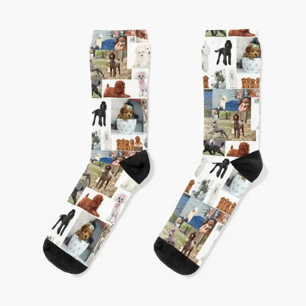 Poodle collage Socks Rugby Run floor anti-slip Woman Socks Men's