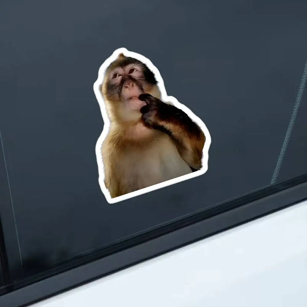 Monkey Thinking Waterproof Stickers For Decorating Car Windows Motorcycles And Computers.