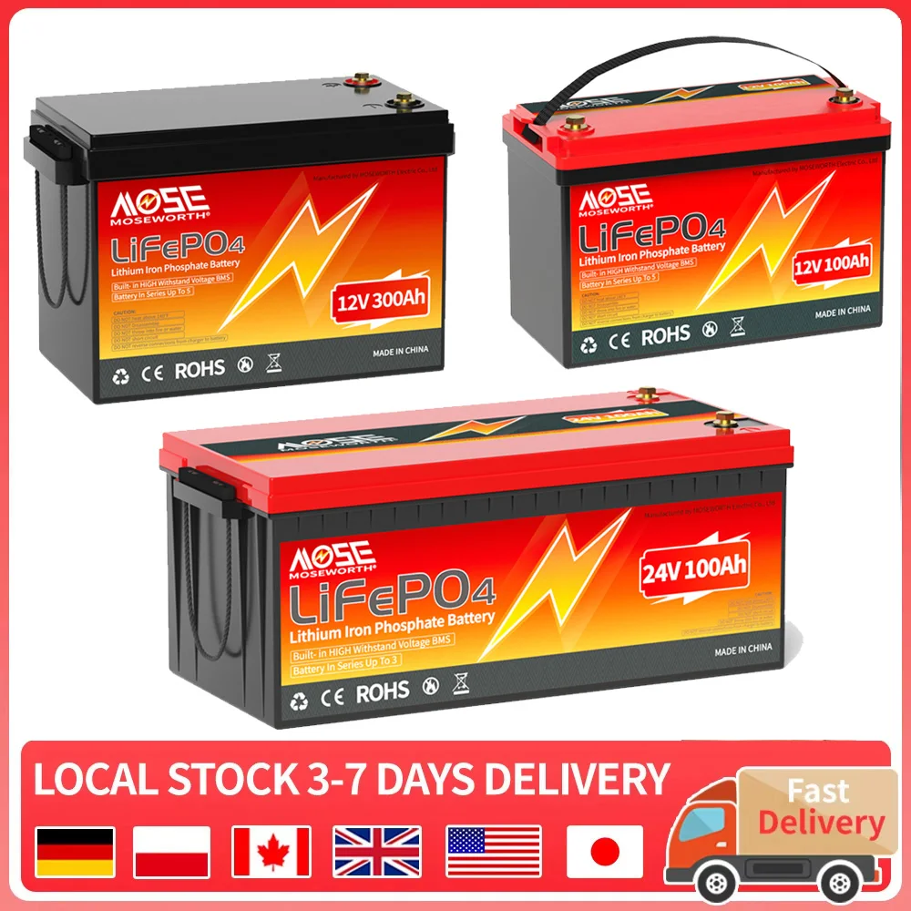 12V 24V 100Ah 200Ah 300Ah LiFePO4 Battery Pack Rechargeable Batteries with BMS Lithium Iron Phosphate Battery Power Bank for RV