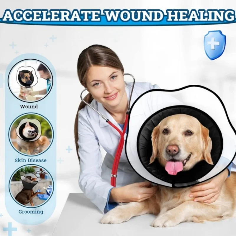 مستلزمات الحيوانات الأليفة للقطط والكلاب، طوق إليزابيث العالمي