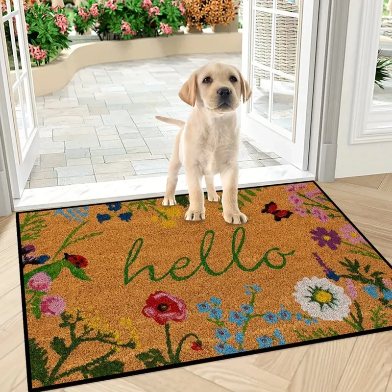 1Pc Welcome Mat Entrance Door Mats Dirt Resistant Kitchen Rug Non-Slip Floor Rugs Washable Carpet For Living Room Home Decor