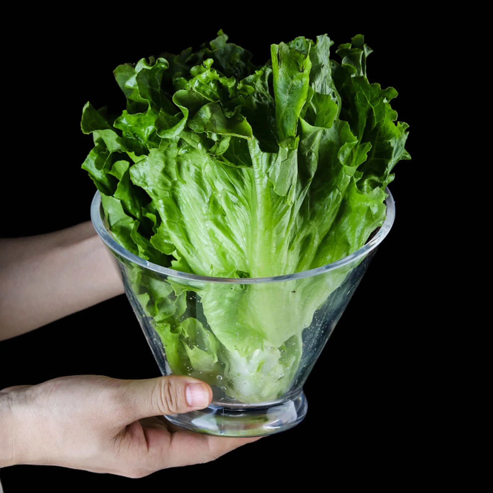 Acrylic Salad Bowl Vegetable Bowl Fruit Ice Bucket Wine Champagne Wine Chiller Wine Bottle Cooler Ice Barrel