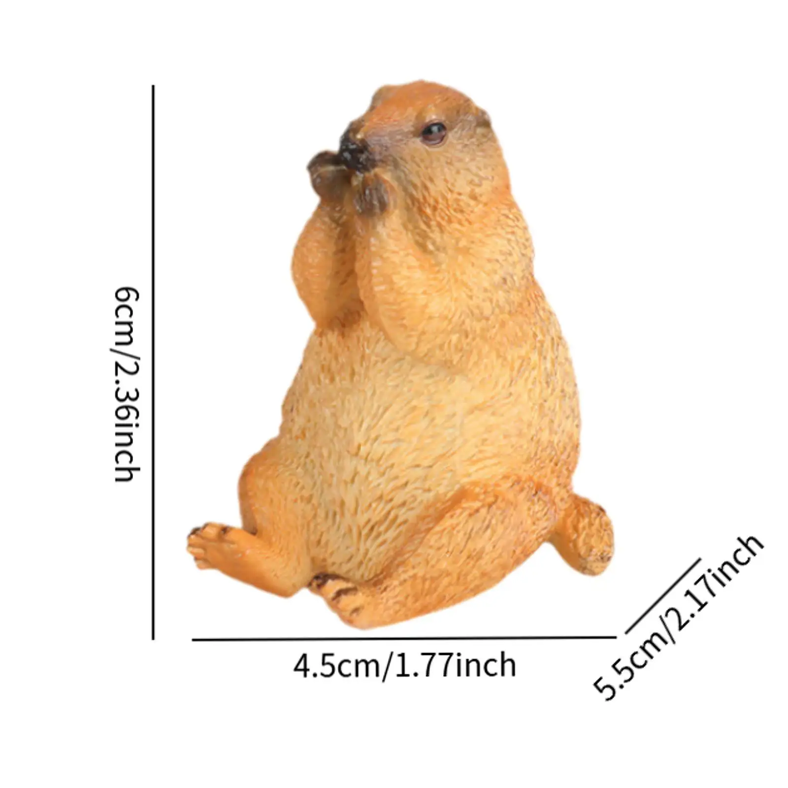 Groundhogs Model Figure Art Decor Educational for Gifts Party Favors Kids