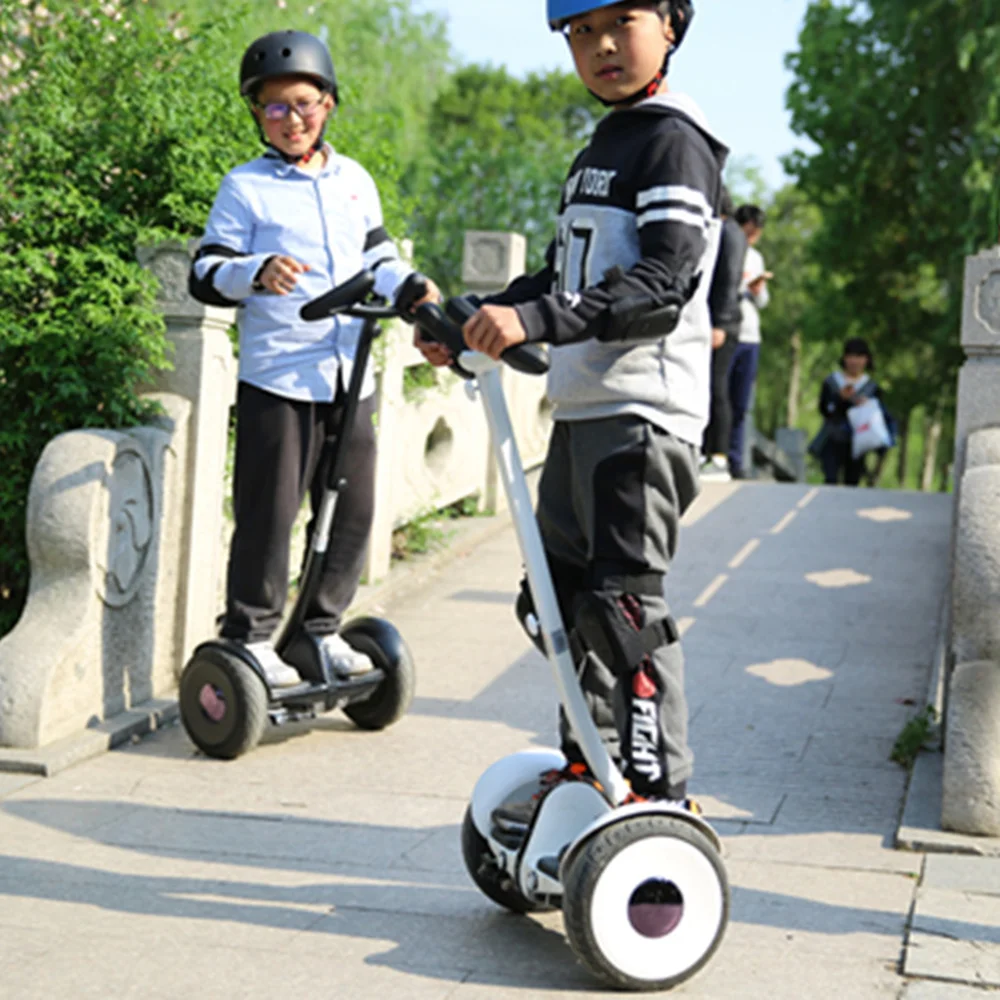 JayCreer Extension Handlebar for Segway Ninebot S Self-Balancing Electric Scooter