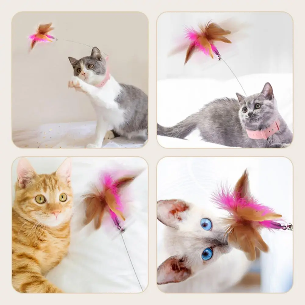 Self-Help Cat Teasing Wand with Bell, Pet Collar, Fun Stick, Multifuncional, Engraçado, Interativo, Cats Supplies, Gatinho