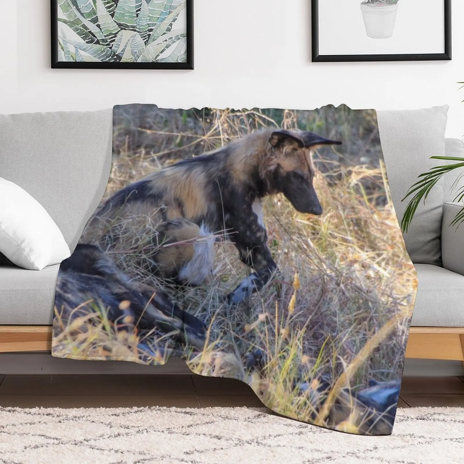 New Wild dog sitting with its pack Throw Blanket Multi-Purpose warm for winter Single Travel Blankets