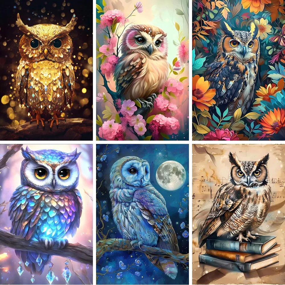 

Owls Colorful Birds DIY 5D Diamond Painting Diamond Embroidery Owl and Flowers Picture of Rhinestones Gifts for Animal Lovers