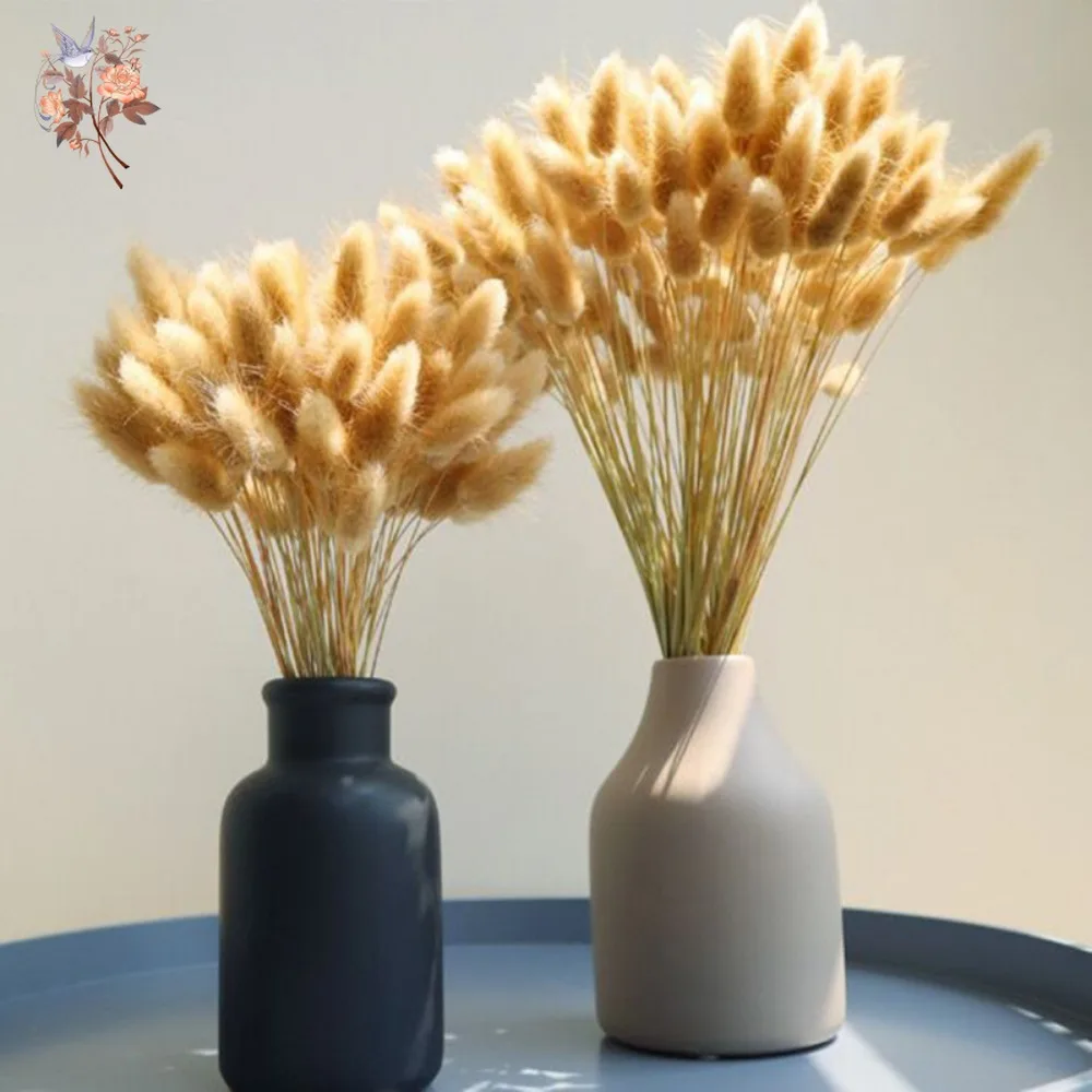 60 Stück flauschige Häschen-Kaninchen-Schwänze, Gras-Blumenstrauß, Heimdekoration, getrocknete Blumen, natürliche Lagurus Ovatus Pampas, Hochzeit, Blumendekoration