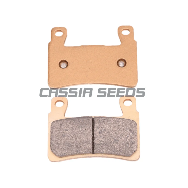 Brake pads for Harley FL STC Heritage Softail Classic 1584 2015 1690 15-17 STF STFB Fat Boy Deluxe 1800 Slim 2016 - 2017