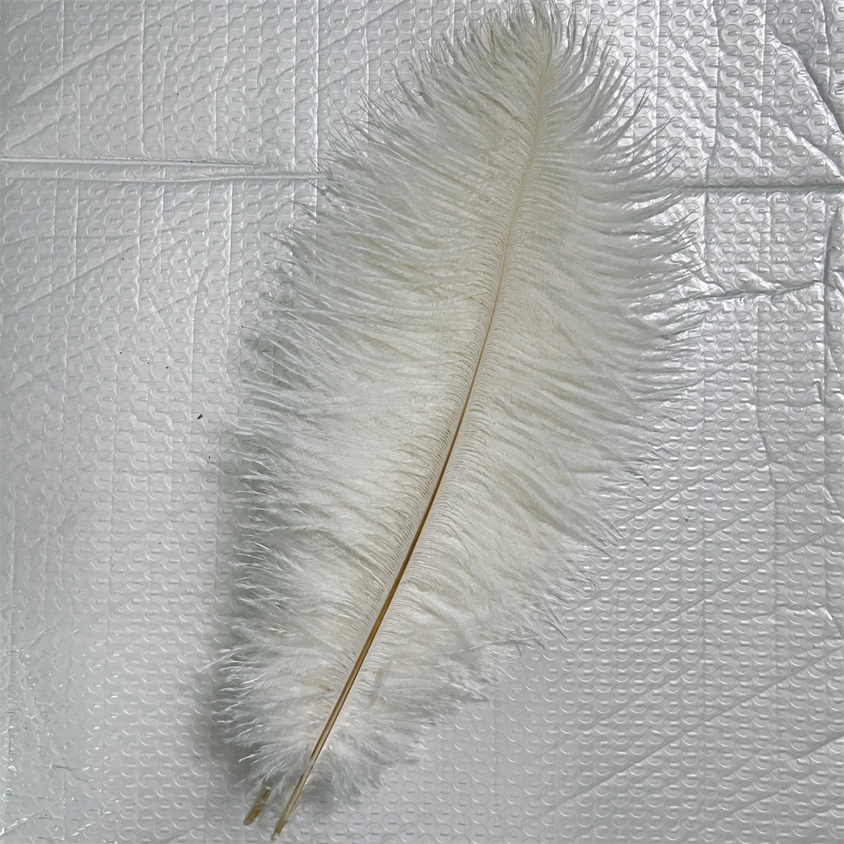 10Pcs White Ostrich Feather Wedding Table Center Large Natural Feather Carnival Handmade Accessories Vase Decoration Feather