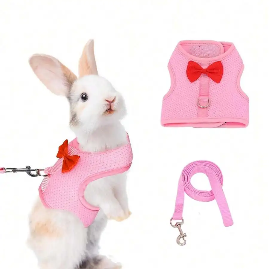 

Cute Bow Pet Harness and Leash, Breathable Mesh Vest for Rabbit, Kitten, Puppy & Ferret
